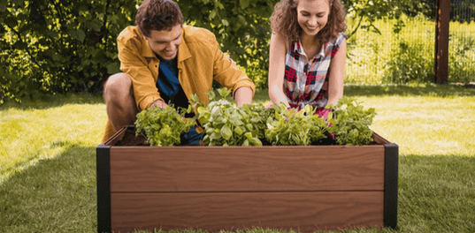 Maple Raised Garden Bed - Brown