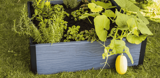 Maple Raised Garden Bed - Graphite