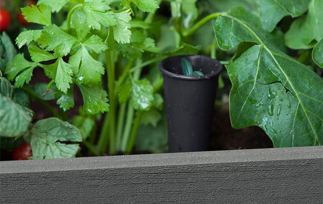 Darwin 29 Gallon Elevated Garden Bed - Graphite