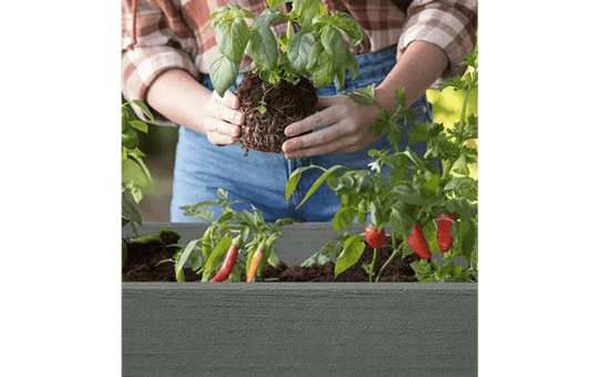 Darwin 29 Gallon Elevated Garden Bed - Graphite