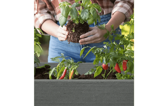 Darwin 29 Gallon Elevated Garden Bed - Graphite