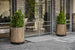 Signature Conical Planter - Pine Brown