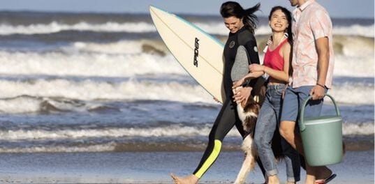 Go Bar Portable 4.3 Gallon Cooler - Green