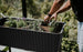 Splendor 31.7 Gallon Elevated Garden Bed - Graphite