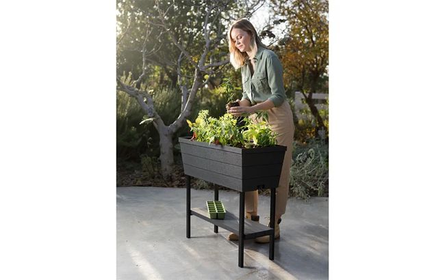 Urban Bloomer 12.7 Gallon Elevated Garden Bed - Graphite