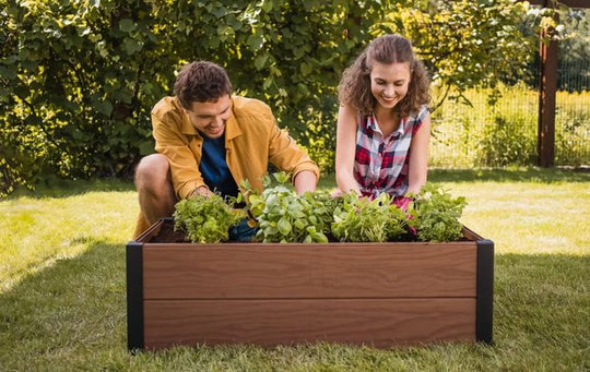 Maple Raised Garden Bed - Brown