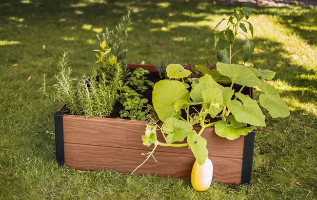 Maple Raised Garden Bed - Brown