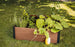 Maple Raised Garden Bed - Brown