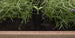 Signature 29 Gallon Elevated Garden Bed - Ashwood Brown