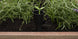 Signature 29 Gallon Elevated Garden Bed - Ashwood Brown