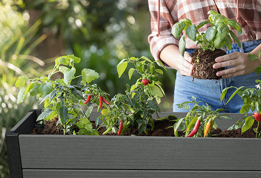Darwin 29 Gallon Elevated Garden Bed - Graphite