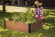 Maple Raised Garden Bed - Brown