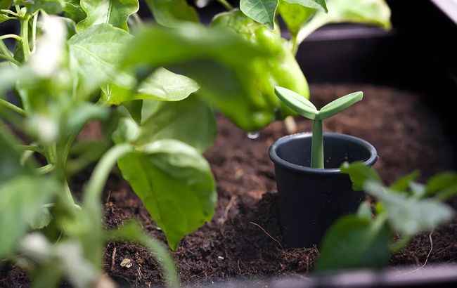 Urban Bloomer 12.7 Gallon Elevated Garden Bed - Graphite