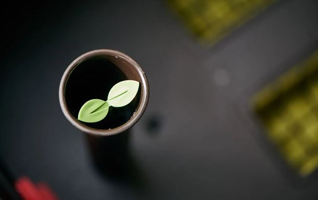 Urban Bloomer 12.7 Gallon Elevated Garden Bed - Graphite