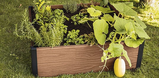 Maple Raised Garden Bed - Brown